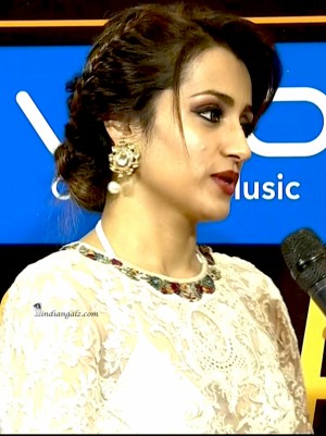 Trisha Krishnan Hot sexy transparent white dress 8 (1)